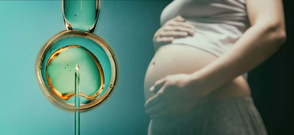 State of the Fertility Sector 2023/24. Annual Publication on HFEA Licensed Clinics