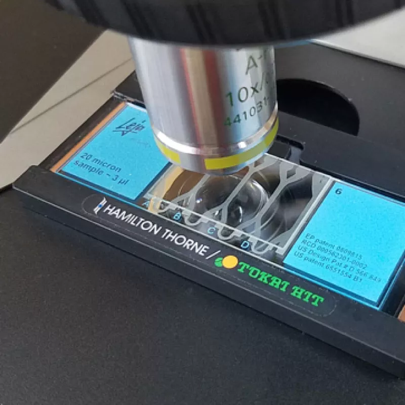 MiniTherm® Stage Warmer