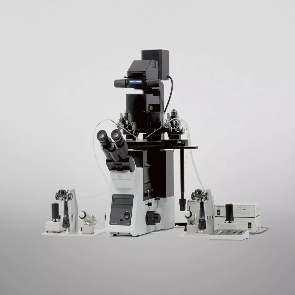 Olympus IX73 Inverted Microscope