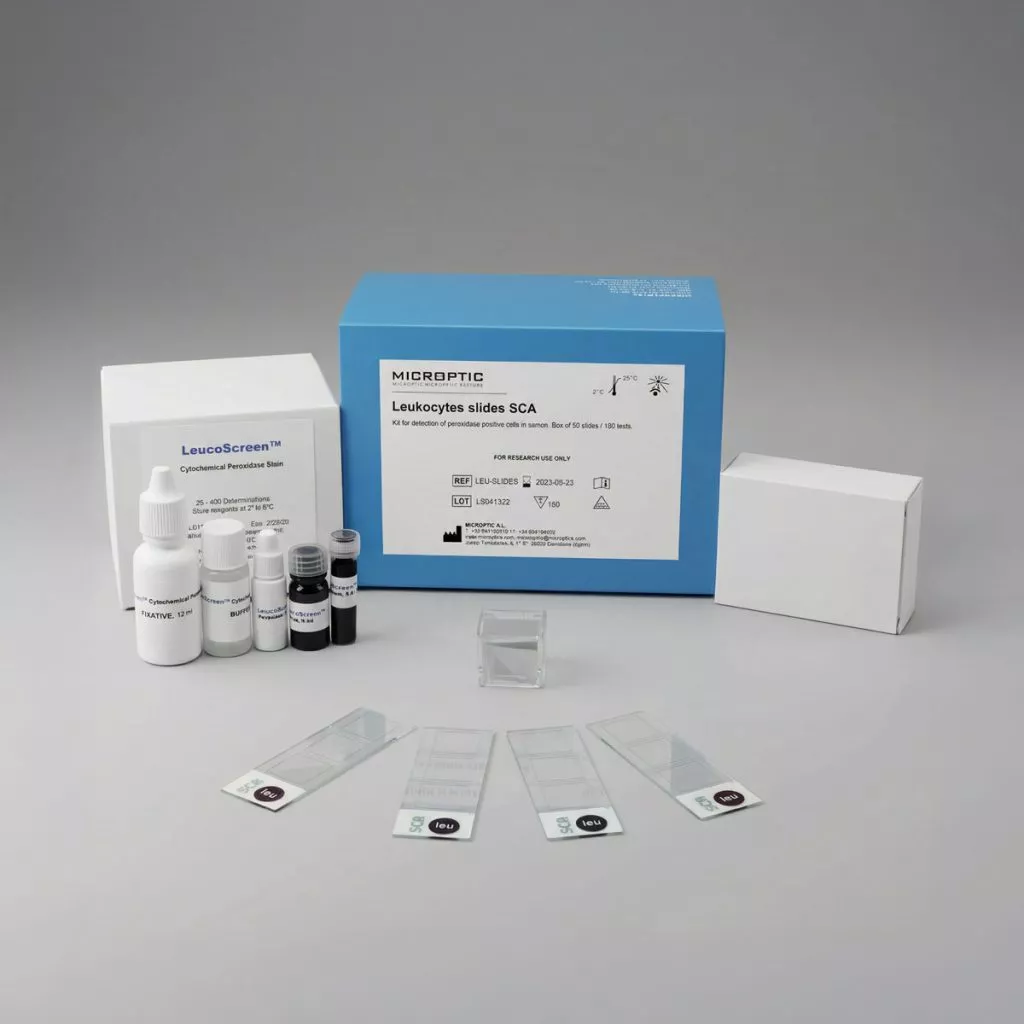 Leukocytes slides SCA