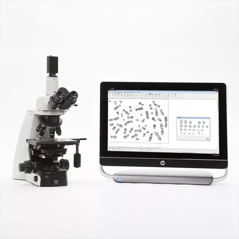 MetaClass Karyotyping + FISH